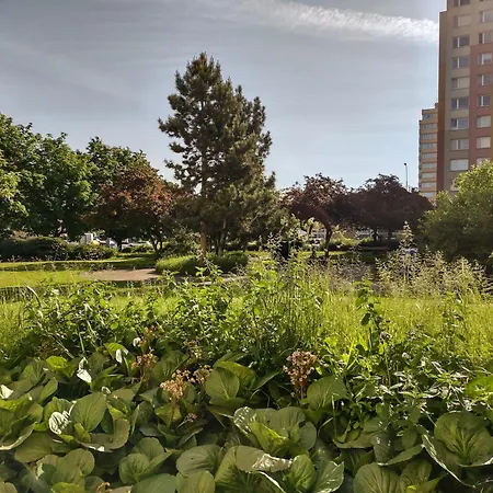 University Hotel 2* Prag