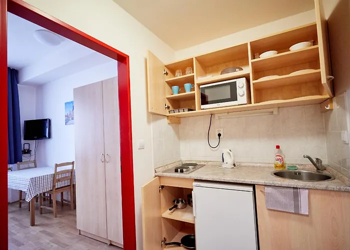 University Hotel מלון