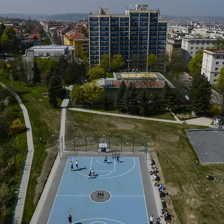 Hotel University Hotel 3*