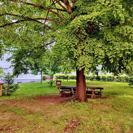 University Hotel Hotel