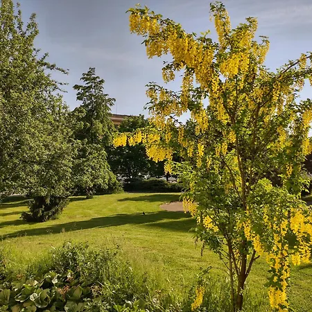 Hotell University Hotel