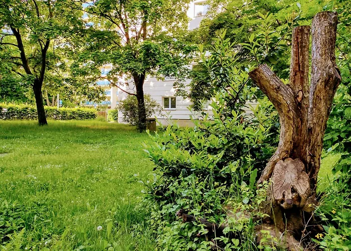 University Hotel Prague