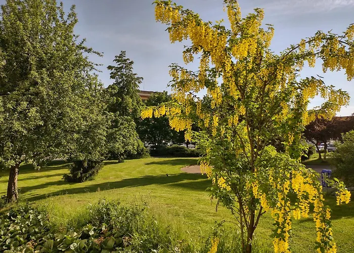 Hotel University Hotel