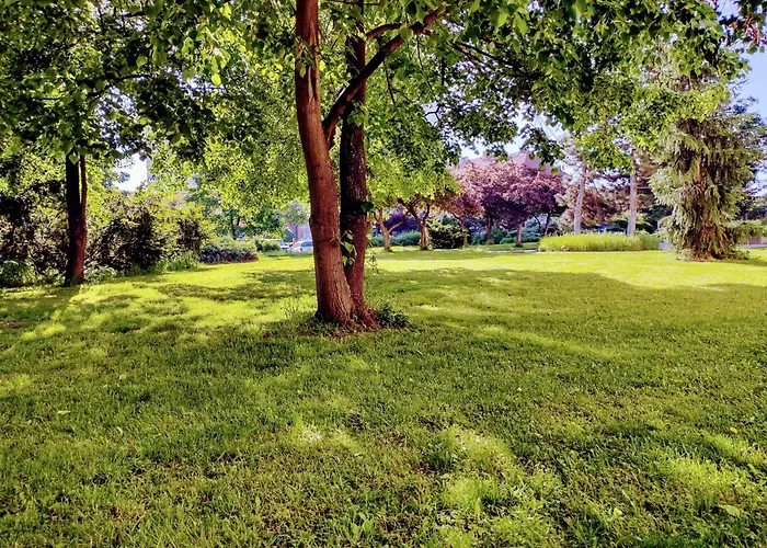 University Hotel Hotel 2*