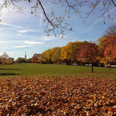 University Hotel Hotel