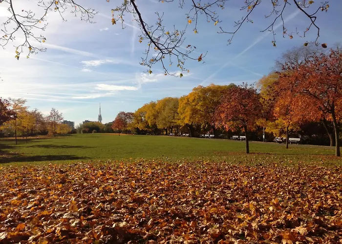 University Hotel Hotell