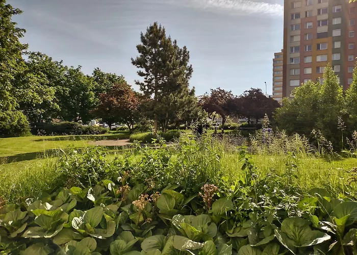 University Hotel 2* Prag