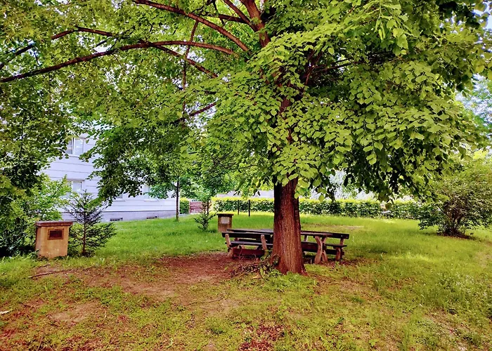 University Hotel Hotell